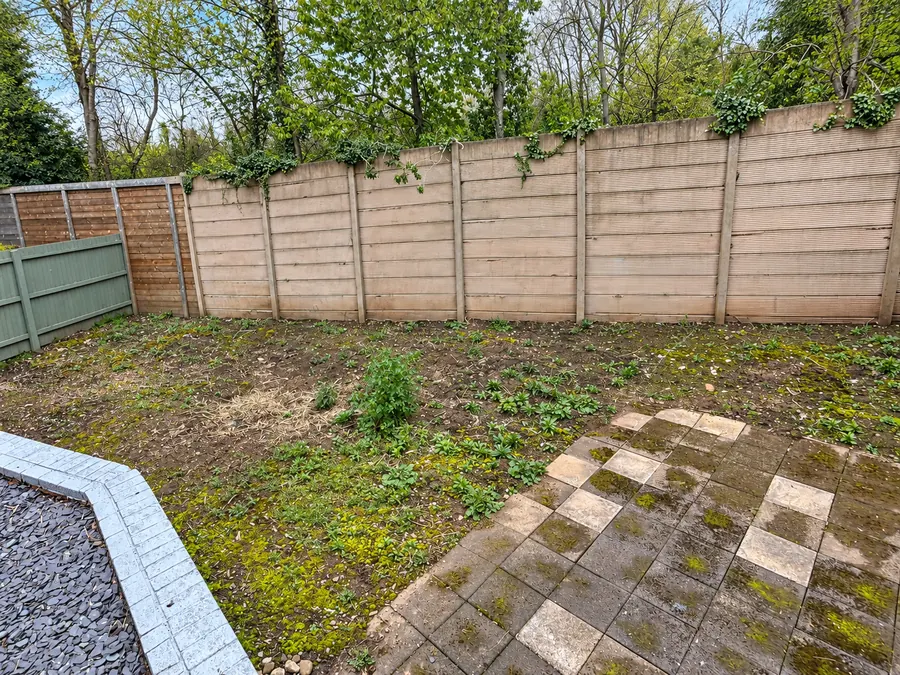 Overgrown garden with old slab path